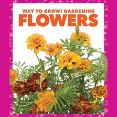Flowers by Rebecca Pettiford audiobook