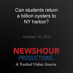 Can students return a billion oysters to NY harbor? by PBS NewsHour audiobook