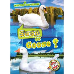 Swan or Goose? by Kirsten Chang audiobook