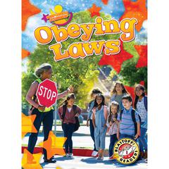 Obeying Laws by Kirsten Chang audiobook