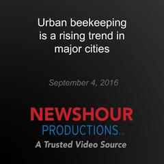 Urban beekeeping is a rising trend in major cities by PBS NewsHour audiobook