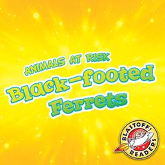 Black-footed Ferrets by Rachel Grack audiobook