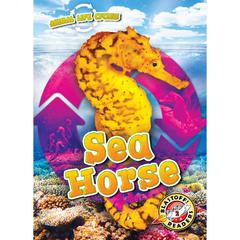 Animal Life Cycles: Sea Horse by Elizabeth Neuenfeldt audiobook