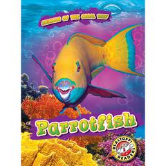 Parrotfish by Kate Moening audiobook
