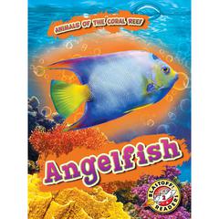 Angelfish by Kate Moening audiobook