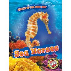 Sea Horses by Kate Moening audiobook