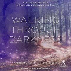 Walking through Darkness by Sandra Ingerman audiobook