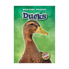 Ducks by Derek Zobel audiobook