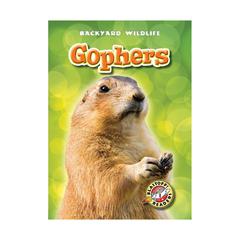Gophers by Derek Zobel audiobook