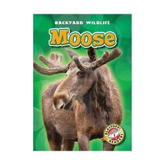 Moose by Kristin Schuetz audiobook