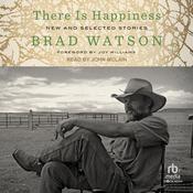 There Is Happiness by  Brad Watson audiobook