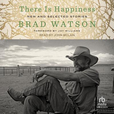 There Is Happiness by Brad Watson audiobook