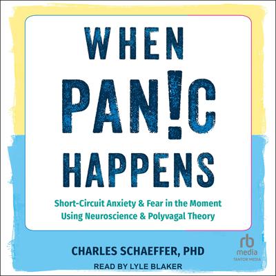 When Panic Happens by Charles Schaeffer audiobook