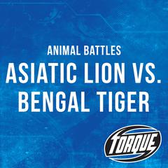 Asiatic Lion vs. Bengal Tiger by Kieran Downs audiobook