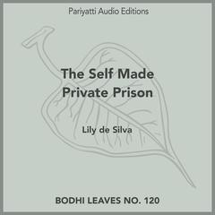 The Self Made Private Prison by Lily de Silva audiobook