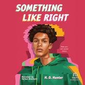 Something Like Right by  H.D. Hunter audiobook