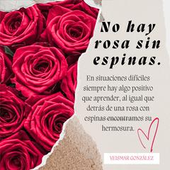 No hay rosa sin espinas by Yeismar González audiobook