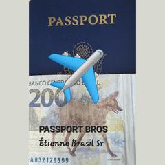 Passport Bros by Étienne Brasil Sr audiobook