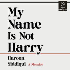 My Name is Not Harry by Haroon Siddiqui audiobook