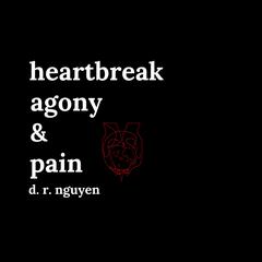 Heartbreak agony & pain by D. R. Nguyen audiobook