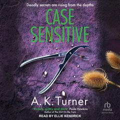 Case Sensitive by A.K. Turner audiobook