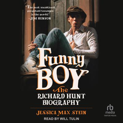 Funny Boy by Jessica Max Stein audiobook