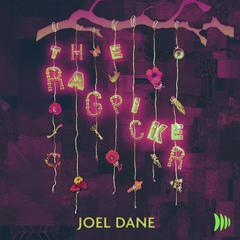 The Ragpicker by Joel Dane audiobook