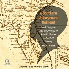 A Southern Underground Railroad by Paul M. Pressly audiobook