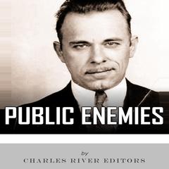 Public Enemies by Charles River Editors audiobook