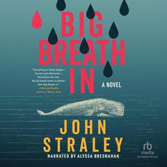 Big Breath In by John Straley audiobook