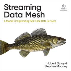 Streaming Data Mesh by Hubert Dulay audiobook