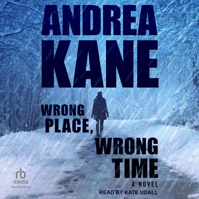 Wrong Place, Wrong Time by Andrea Kane audiobook