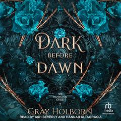 Dark Before Dawn by Gray Holborn audiobook