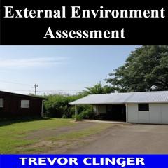 External Environment Assessment by Trevor Clinger audiobook