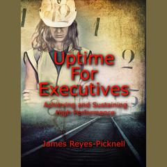 Uptime for Executives by James V. Reyes-Picknell audiobook