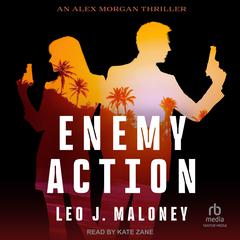 Enemy Action by Leo J. Maloney audiobook