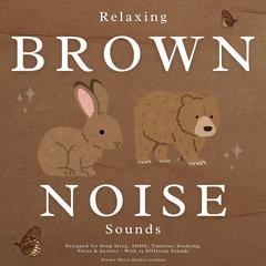 Relaxing Brown Noise Sounds by Brown Noise Studio London audiobook