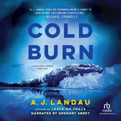 Cold Burn by A. J. Landau audiobook