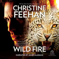 Wild Fire by Christine Feehan audiobook