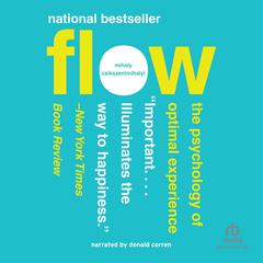 Flow by Mihaly Csikszentmihalyi audiobook