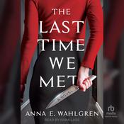 The Last Time We Met by  Anna E. Wahlgren audiobook