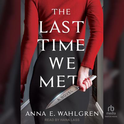 The Last Time We Met by Anna E. Wahlgren audiobook