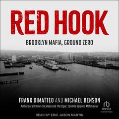 Red Hook by Frank DiMatteo audiobook