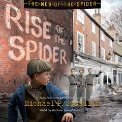 Rise of the Spider by Michael P. Spradlin audiobook