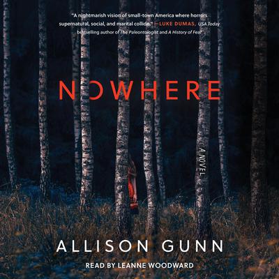 Nowhere by Allison Gunn audiobook