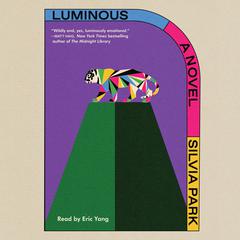 Luminous by Silvia Park audiobook