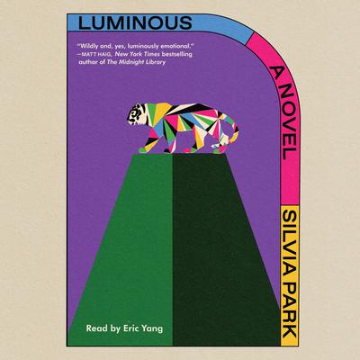 Luminous by Silvia Park audiobook
