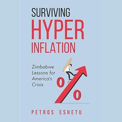Surviving Hyperinflation by Petros Eshetu audiobook
