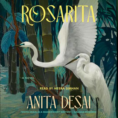 Rosarita by Anita Desai audiobook