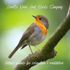 Gentle Rain and Birds Singing - Pure Nature Sounds for Relaxation & Meditation by Nature Sounds Therapy audiobook